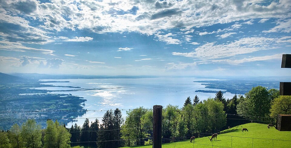 Large panorama du lac de Constance depuis le Pfänder, au-dessus de Bregenz.